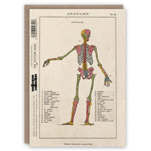 Charger l'image dans la galerie, Anatomy greeting card