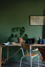 Load image into Gallery viewer, Calke Green no. 34