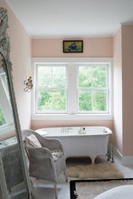 Load image into Gallery viewer, Pink Ground no. 202