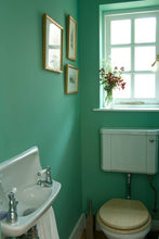 Charger l'image dans la galerie, A bathroom painted in Arsenic.