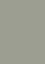 Load image into Gallery viewer, Pigeon No. 25