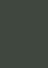 Load image into Gallery viewer, Studio Green no. 93
