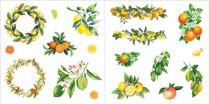 Bunches of Botanicals Sticker Book (500 stickers)