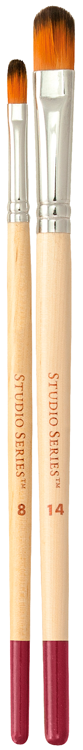 Ensemble de pinceaux d'artiste de la série Studio