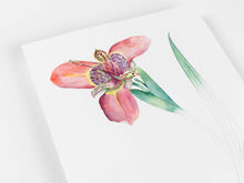 Load image into Gallery viewer, Floral Images Artists&#39; Colouring Book