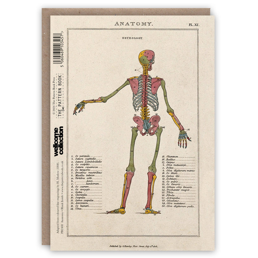 Anatomy greeting card