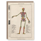 Anatomy greeting card