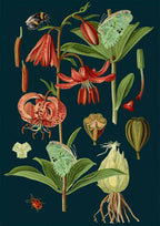 Carte de vœux botanique vierge de minuit