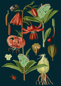 Blank Midnight Botanical Greeting Card