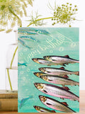 HB059P ~ Birthday card