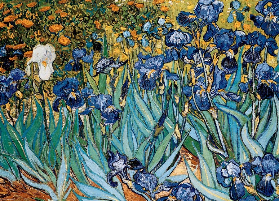 Irises
