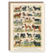 Charger l&#39;image dans la galerie, Dog Breeds greeting card