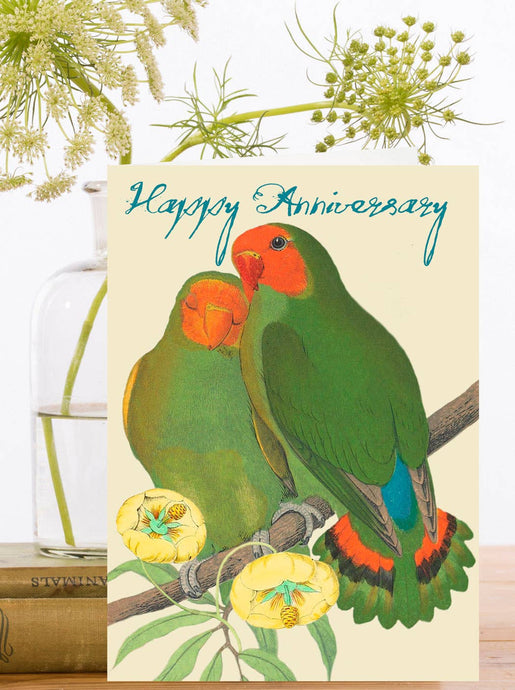 2 Love birds embracing. Happy Anniversary card. 