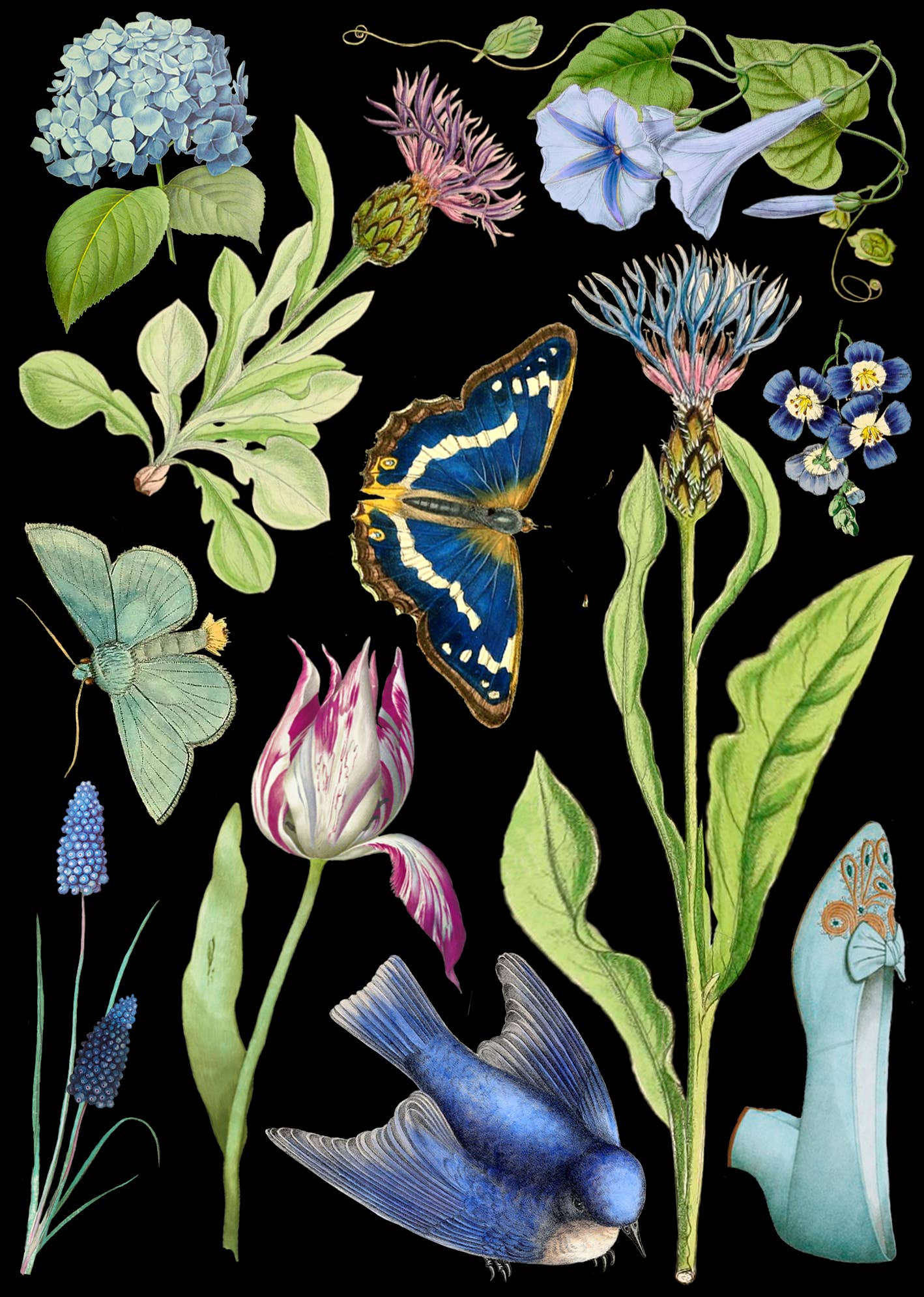 Carte de vœux fantaisiste vierge