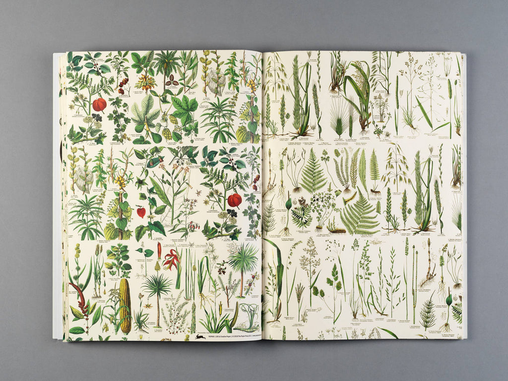 Flora Gift & Creative Paper Book Vol. 85