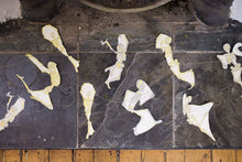 Load image into Gallery viewer, Dancing Skeletons Sewn Garland