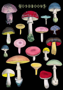 Mushrooms Greeting Card