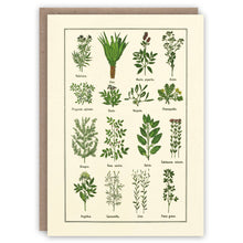 Charger l&#39;image dans la galerie, Healthy Herbs