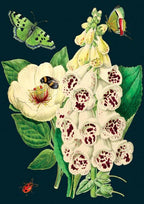 Blank Midnight Botanical Greeting Card