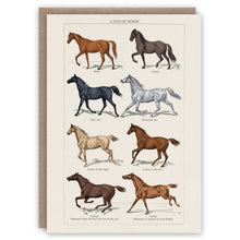 Load image into Gallery viewer, Gaits of Horse