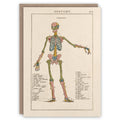 Anatomy greeting card