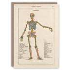 Anatomy greeting card