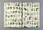 Flora Gift & Creative Paper Book Vol. 85