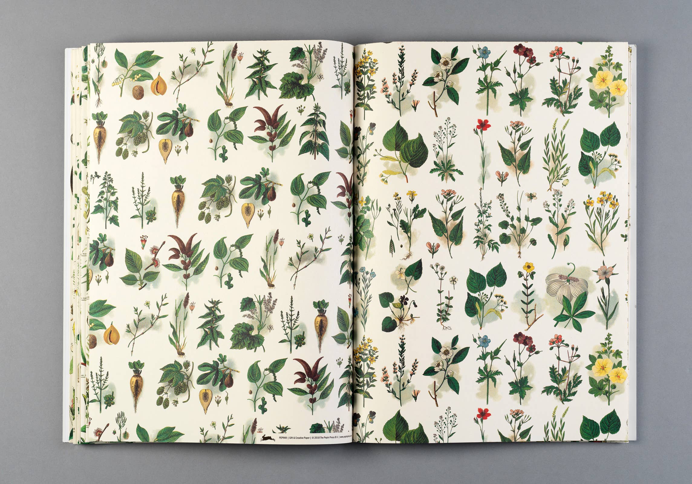 Flora Gift & Creative Paper Book Vol. 85