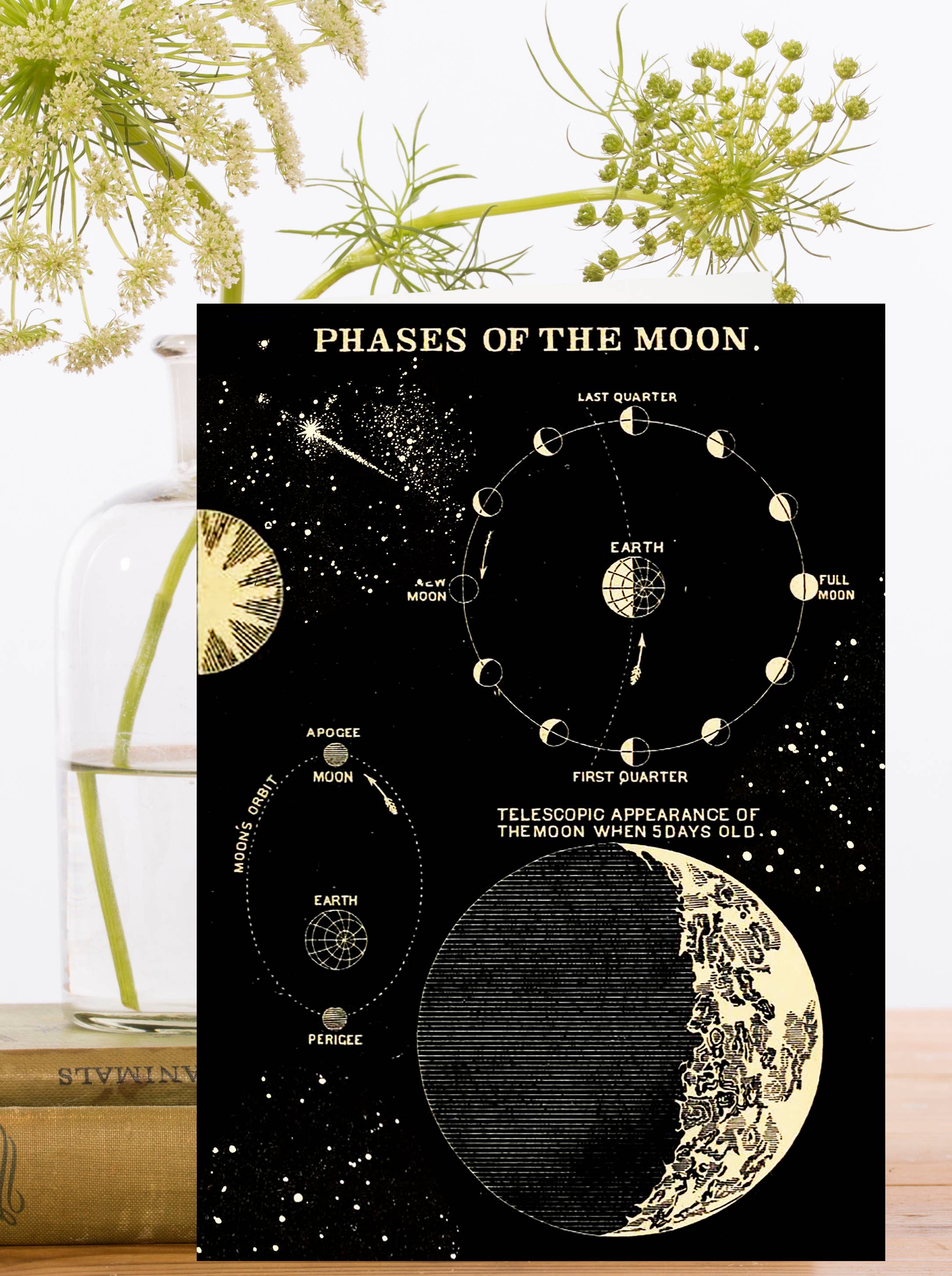 RS288P ~ Whimsical Greeting Card