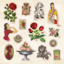 Load image into Gallery viewer, The Sticker Book of Curiosities