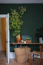 Load image into Gallery viewer, Duck Green No. W55