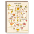 Flower Families