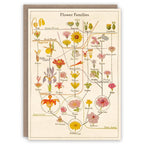 Flower Families