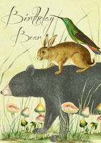 HB235P ~ Birthday Card