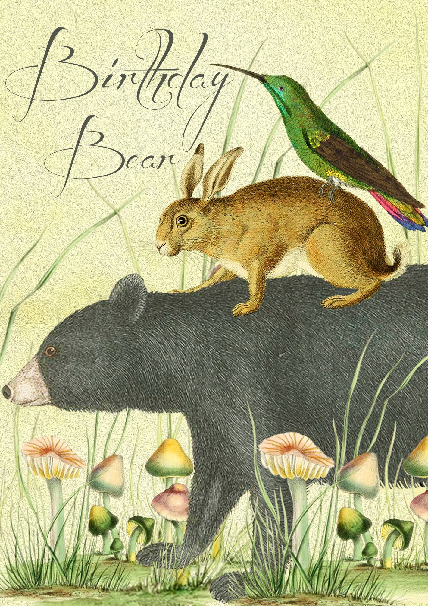HB235P ~ Birthday Card