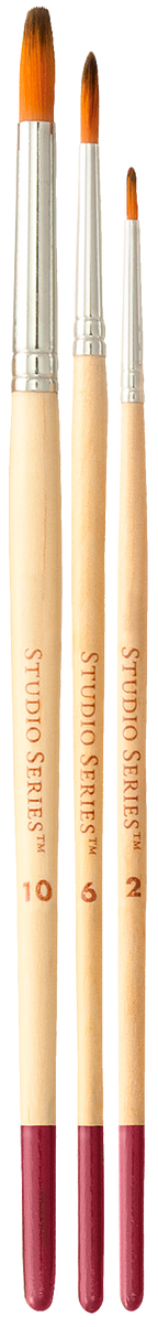 Ensemble de pinceaux d'artiste de la série Studio