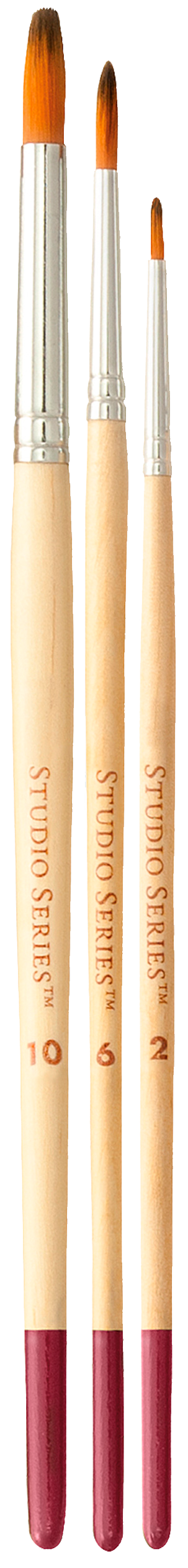 Ensemble de pinceaux d'artiste de la série Studio