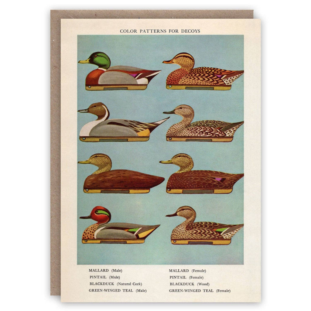 Decoy Ducks