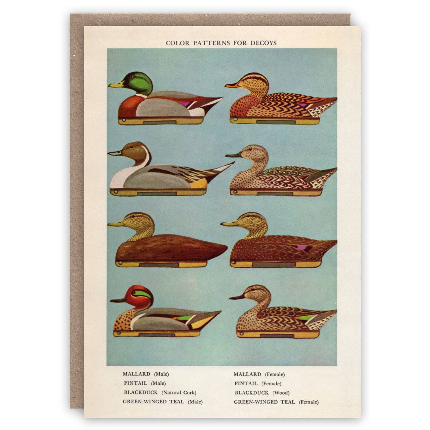 Decoy Ducks