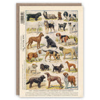 Dog Breeds greeting card
