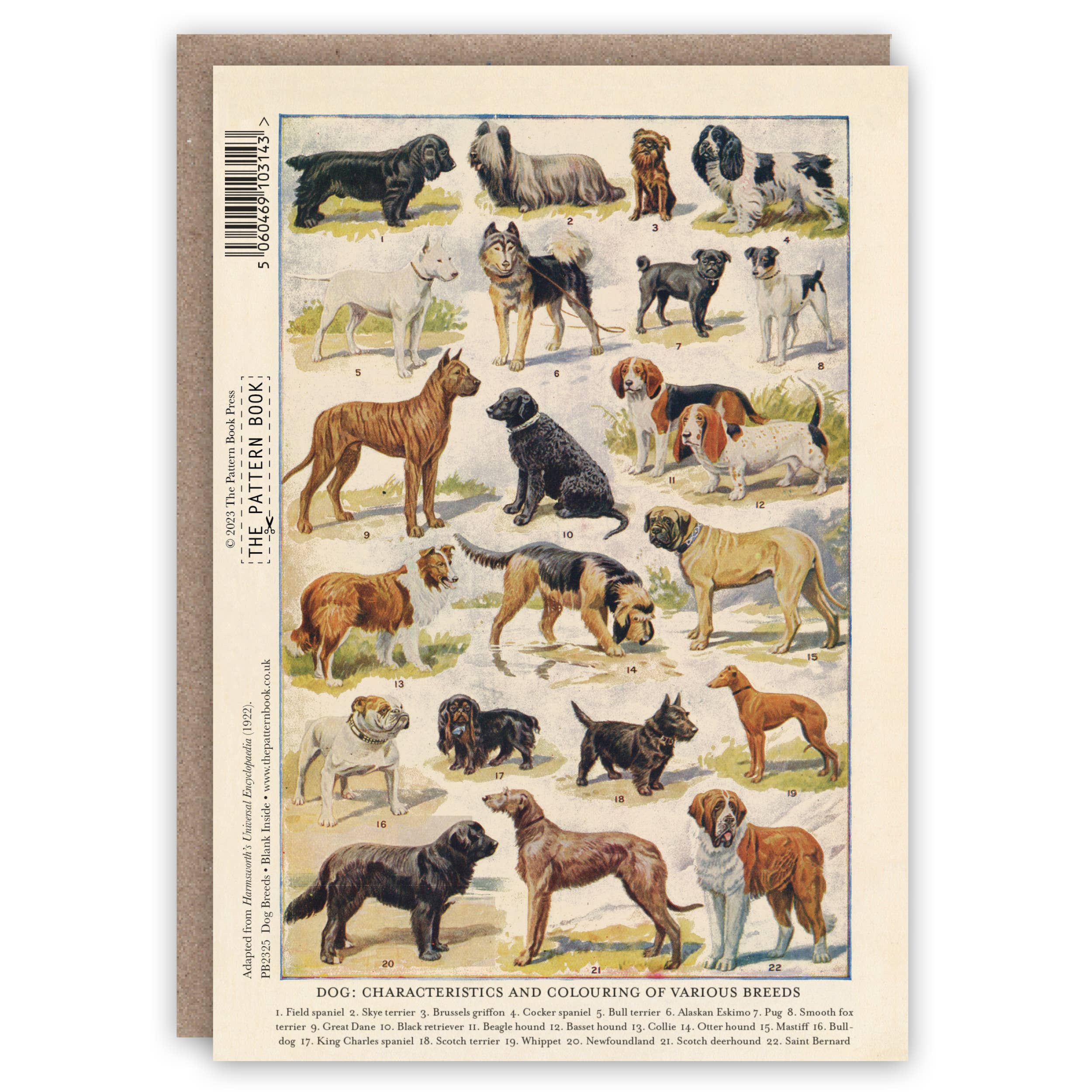 Dog Breeds greeting card