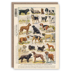 Dog Breeds greeting card