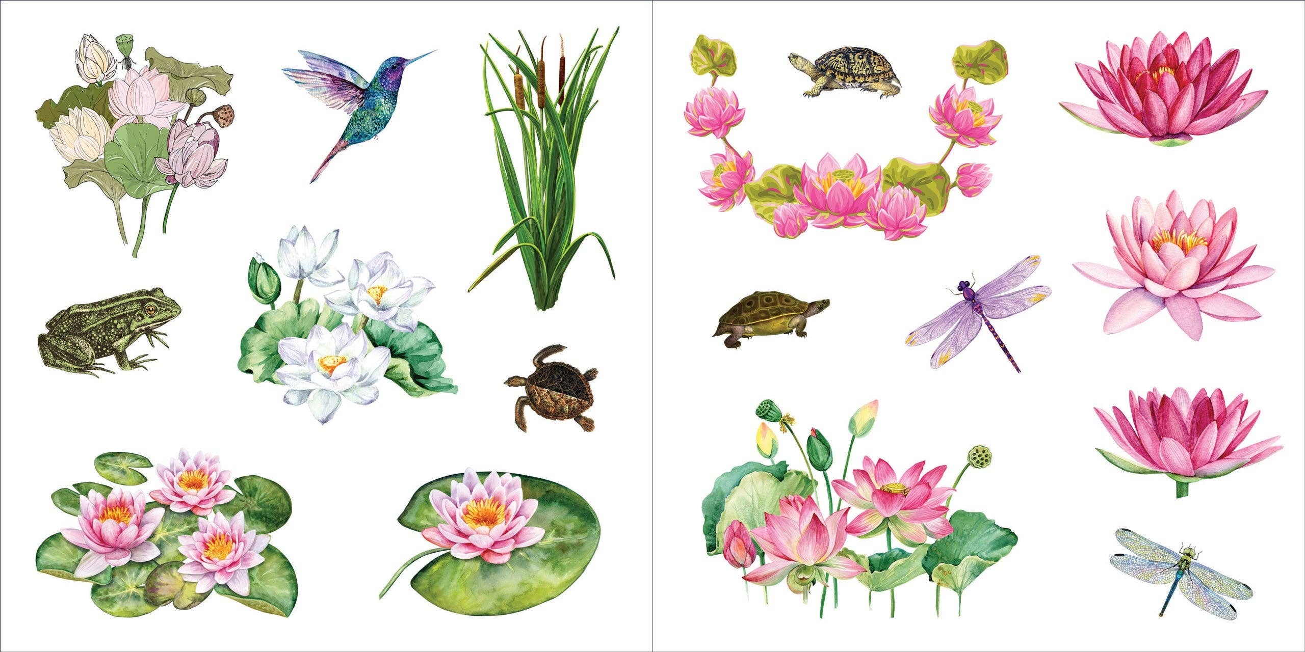 Livre d'autocollants Bouquets de plantes (500 autocollants)