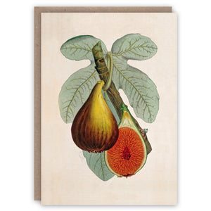 Fig Plant greeting card