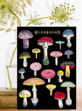 Load image into Gallery viewer, Mushrooms Greeting Card