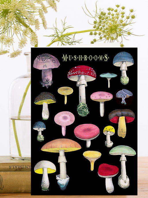 Mushrooms Greeting Card