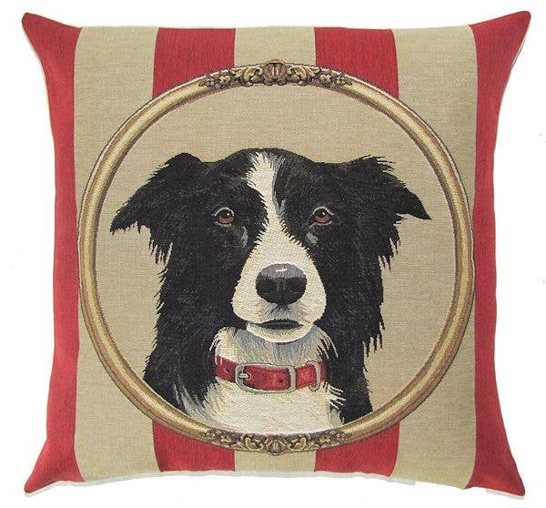 Coussin Border Collie
