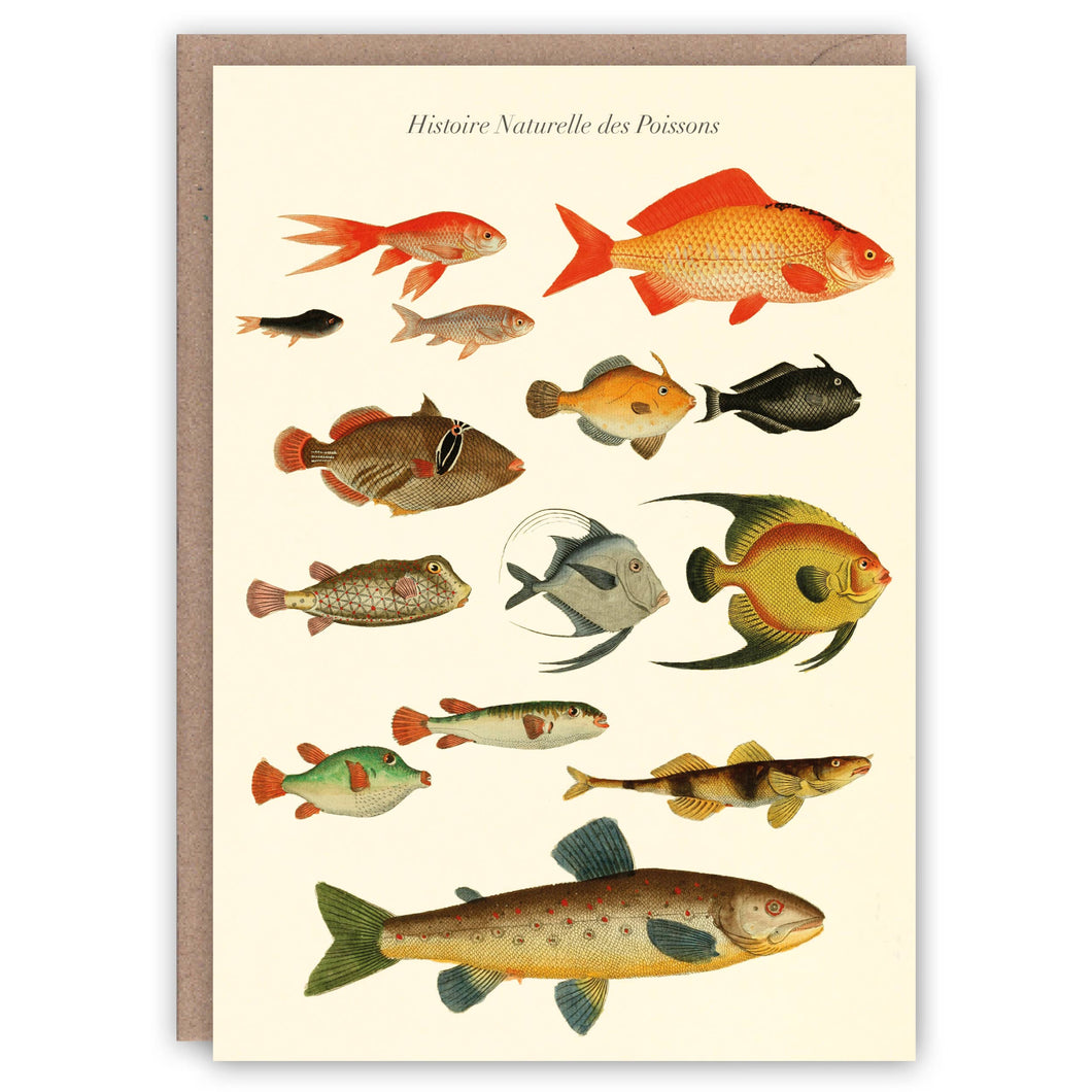 Histoire des Poissons greeting card