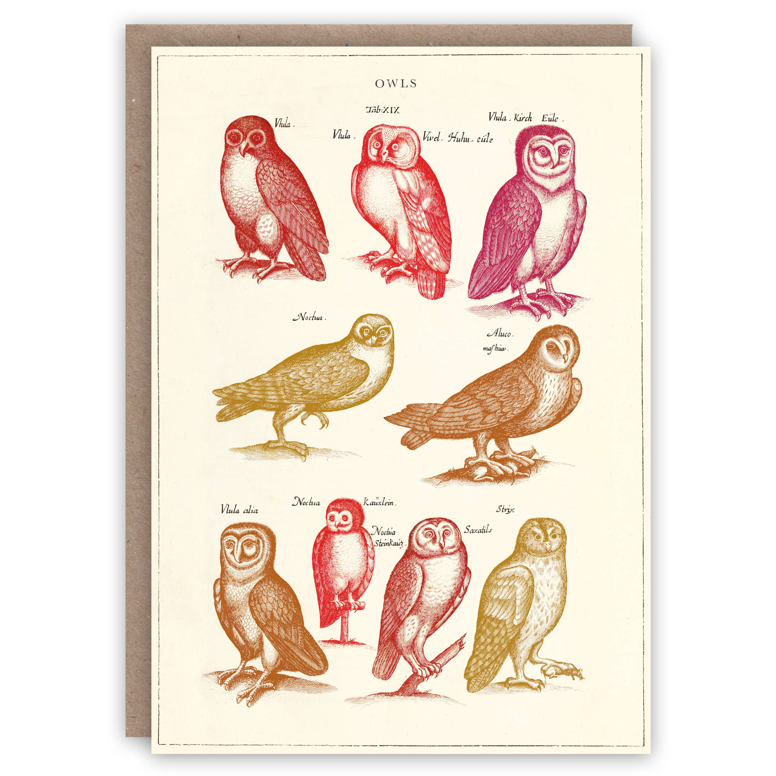 Carte de voeux hiboux