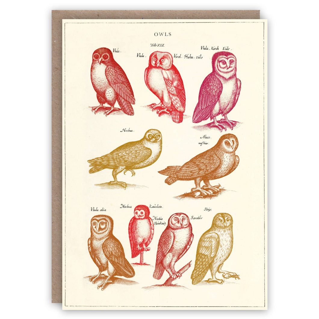Owls greeting card